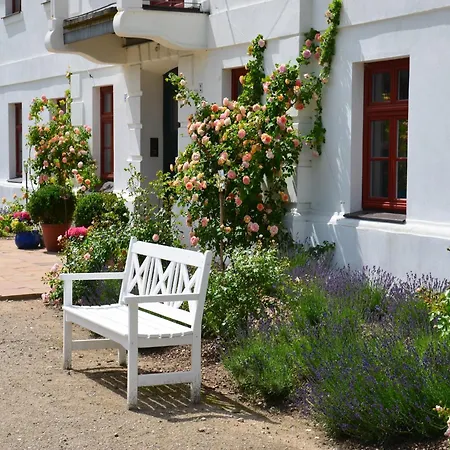 Apartman In Mit Garten, Cleaning Included