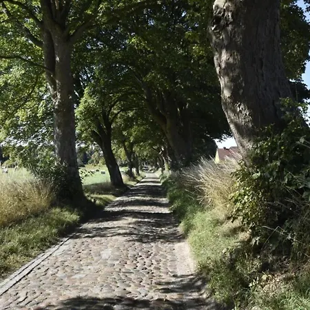 In Mit Garten, Cleaning Included Apartman Gerdshagen